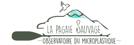 La pagaie sauvage