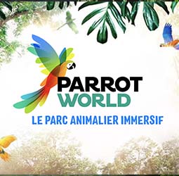 Parrot world